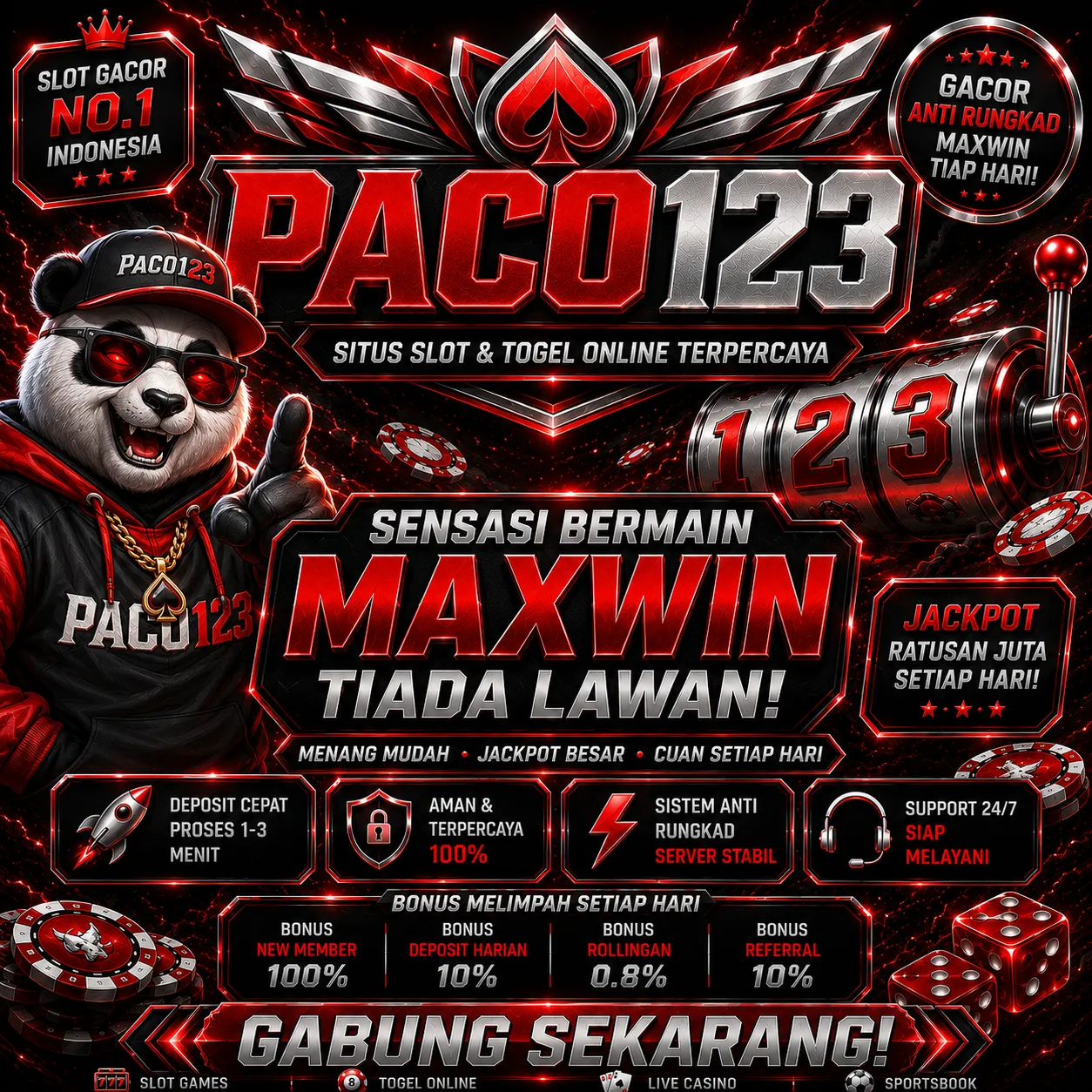 PACO123Banner